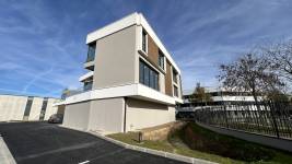 Norbert LEFRANC - NORBERT